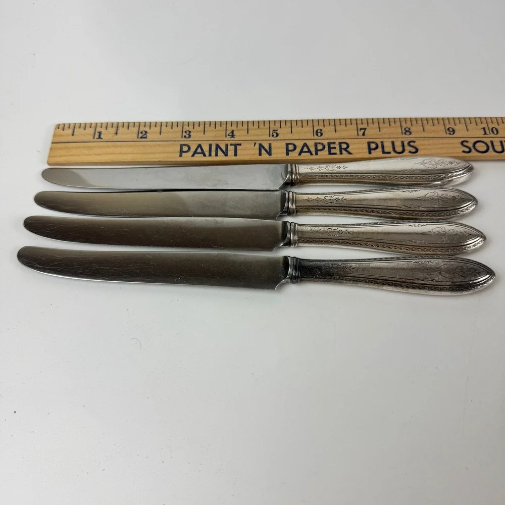 1847 Rogers Bros Argosy Silverplate Dinner Knives Insico Stainless Set of 4 9.5
